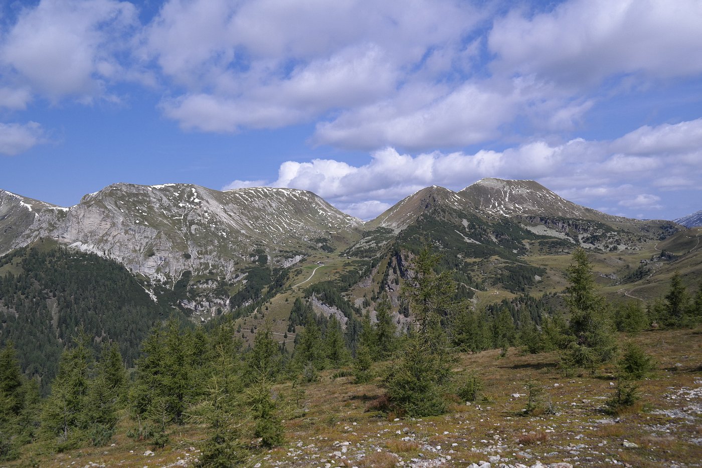 Wiesen und Wälder bei der Bockhütte